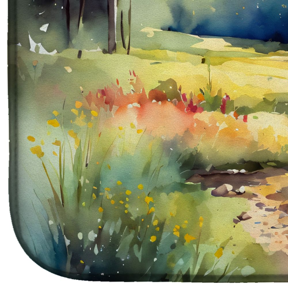 Montana Bitterroot in Watercolor Dish Drying Mat Absorbent Dish Drying Mat Pad for Kitchen Counter Dish Drainer Mat for Countertop, 14 x 21", Multicolor