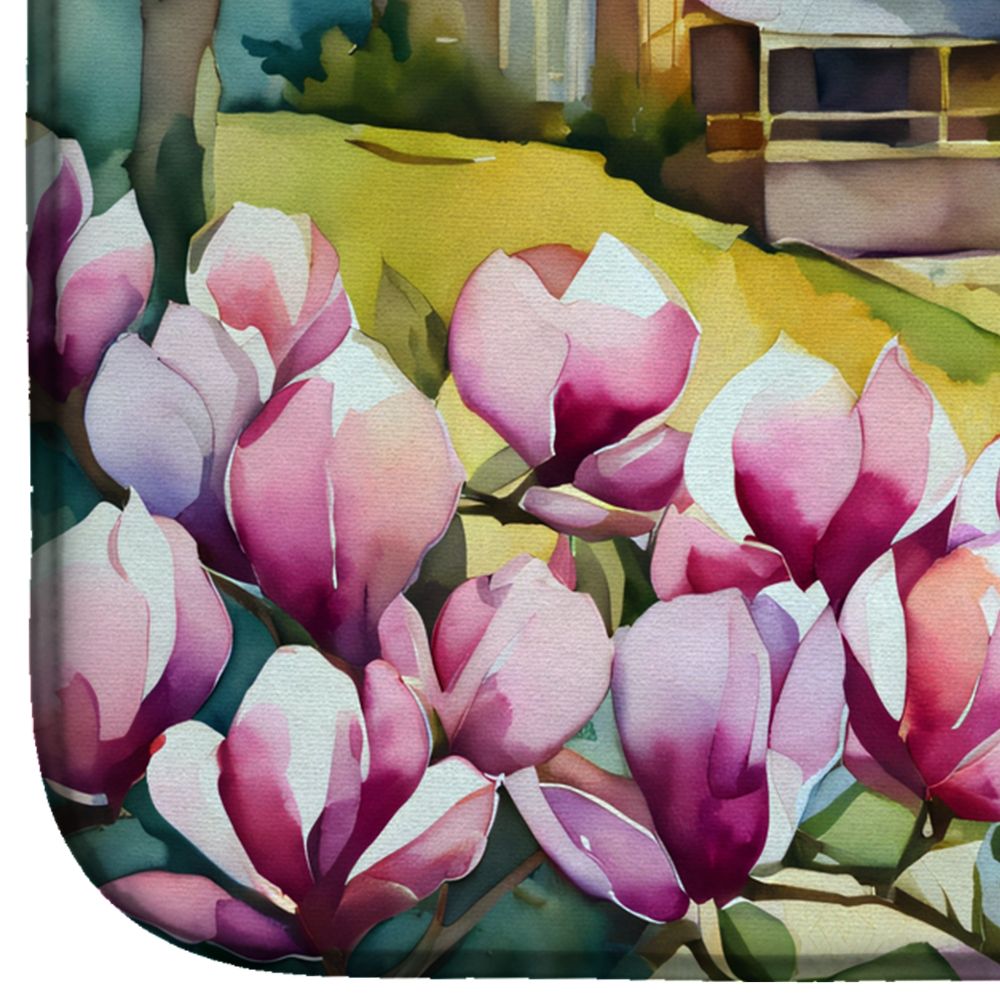Louisiana Magnolias in Watercolor Dish Drying Mat Absorbent Dish Drying Mat Pad for Kitchen Counter Dish Drainer Mat for Countertop, 14 x 21", Multicolor