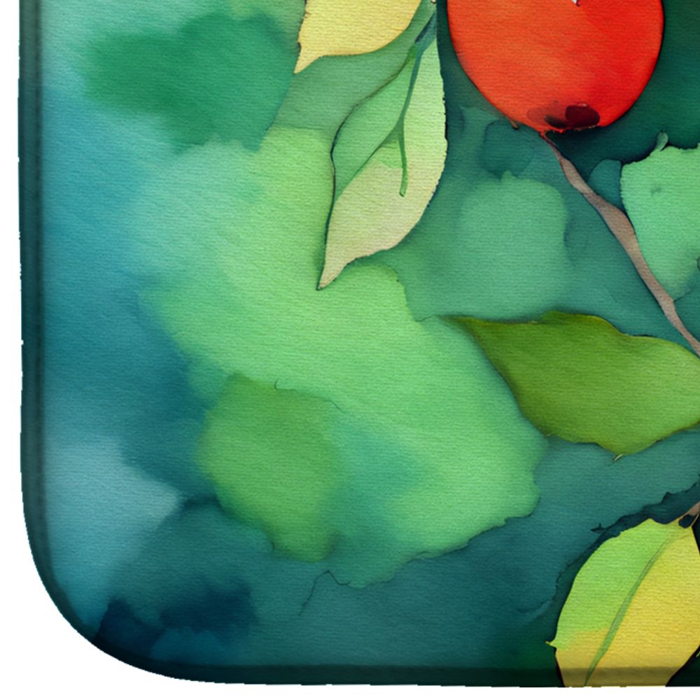 Missouri Hawthorns in Watercolor Dish Drying Mat Absorbent Dish Drying Mat Pad for Kitchen Counter Dish Drainer Mat for Countertop, 14 x 21", Multicolor