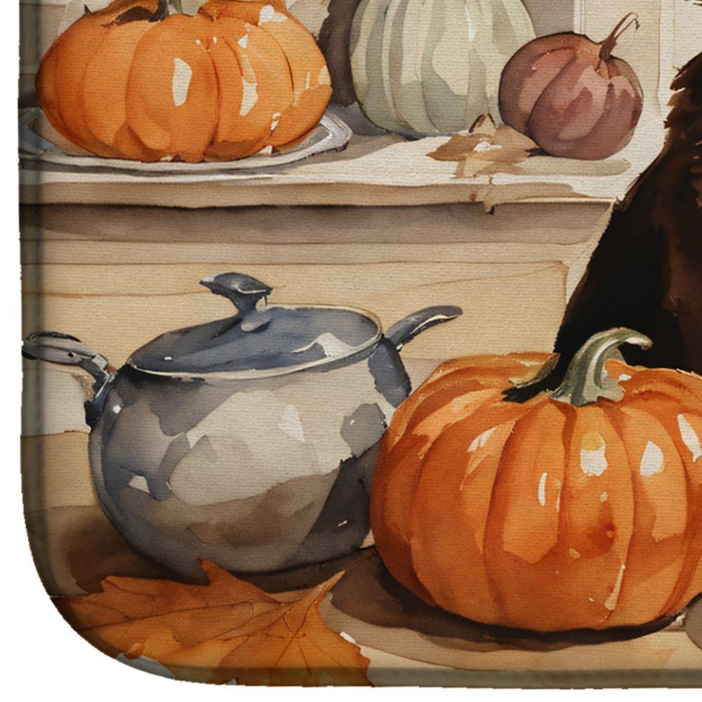 Chocolate Lab Fall Kitchen Pumpkins Dish Drying Mat Absorbent Dish Drying Mat Pad for Kitchen Counter Dish Drainer Mat for Countertop, 14 x 21", Multicolor